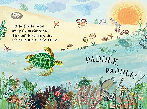 Little Turtle’s Book Of The Blue - Board Book