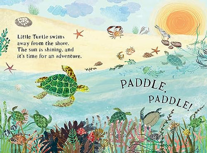 Little Turtle’s Book Of The Blue - Board Book