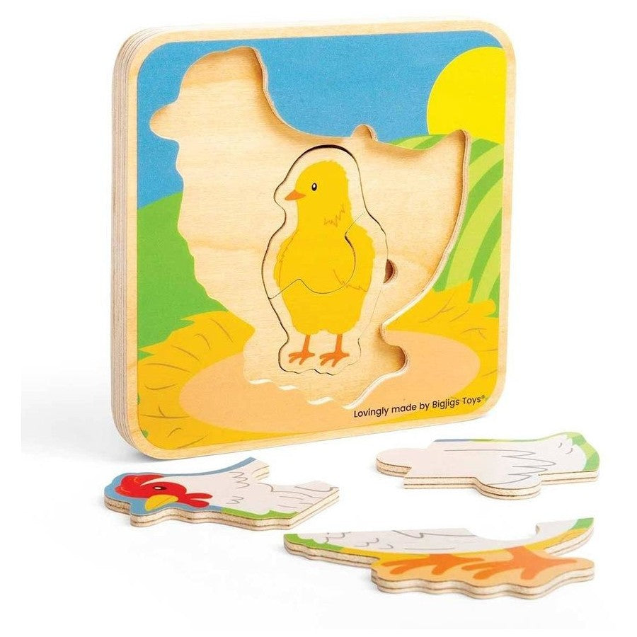 Lifecycle Puzzle - Chicken