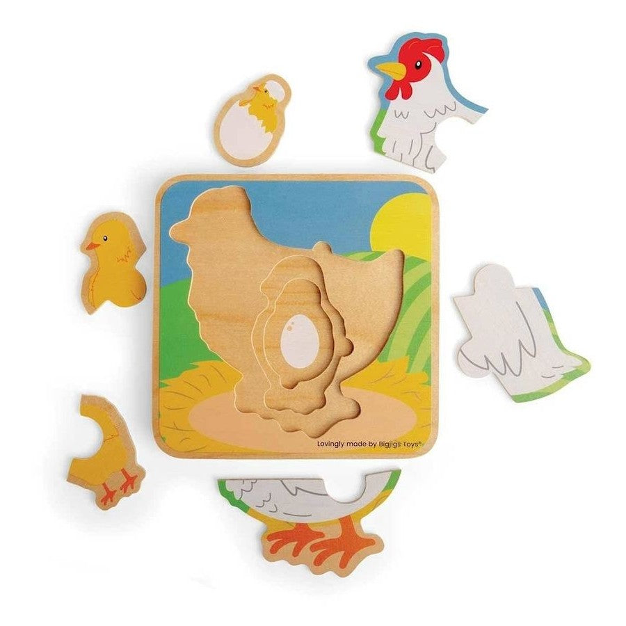 Lifecycle Puzzle - Chicken