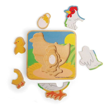 Lifecycle Puzzle - Chicken