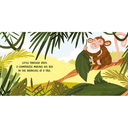 Sweet Sounds Stories - The Jungle - Board Book