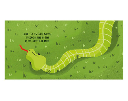 Sweet Sounds Stories - The Jungle - Board Book