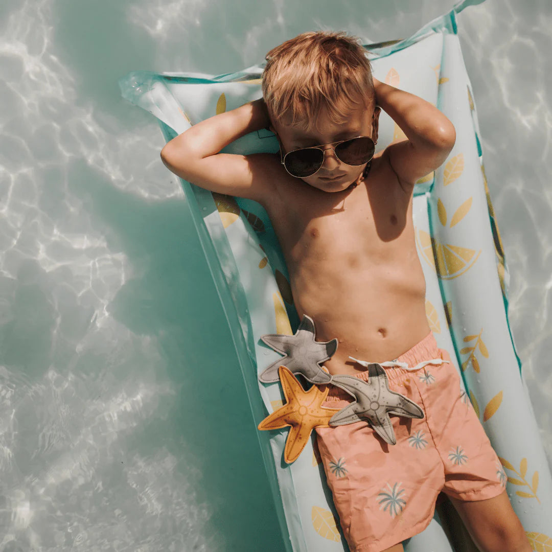 Dive Buddies - Sea Stars 3pcs