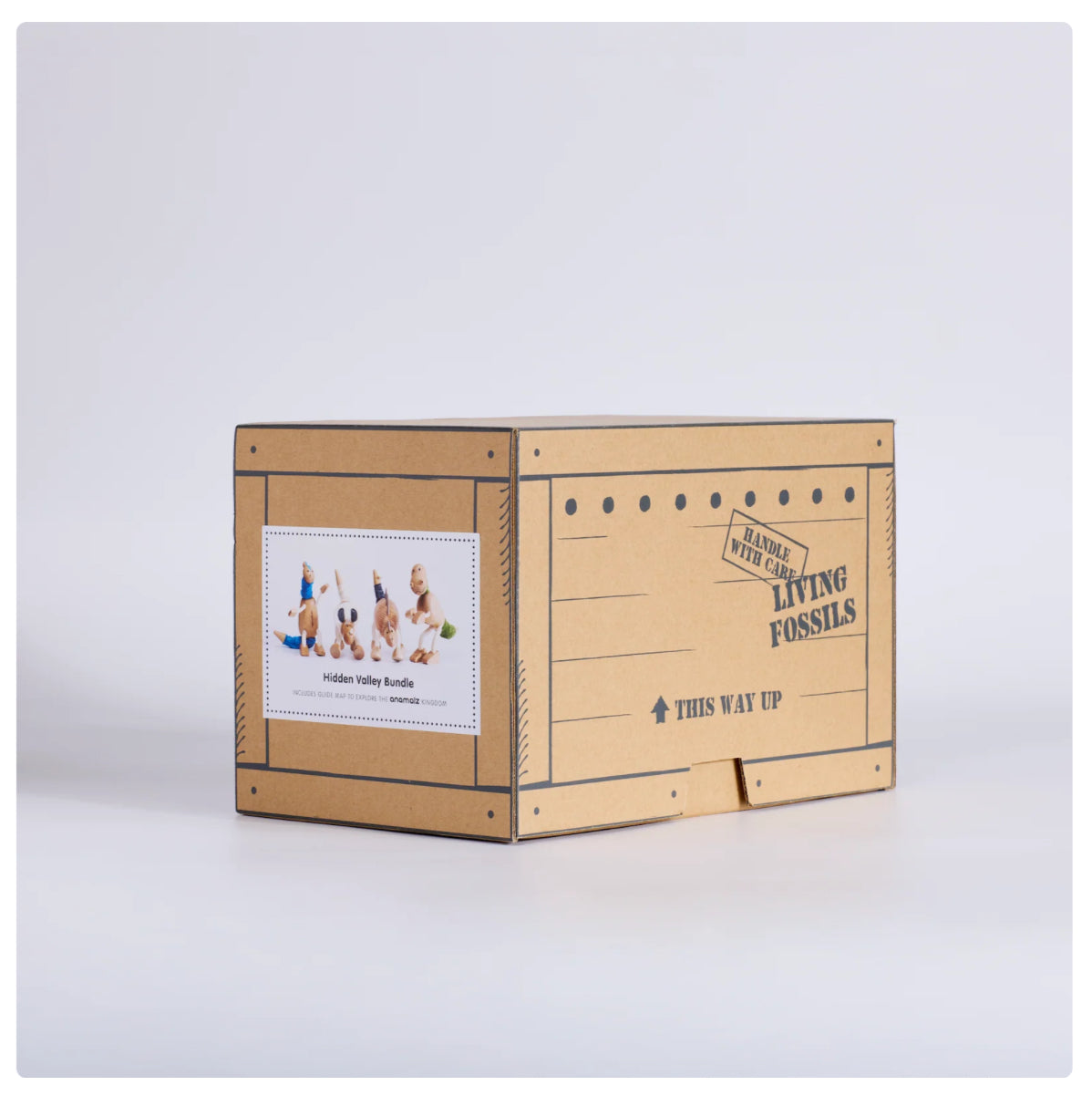 Hidden Valley Bundle