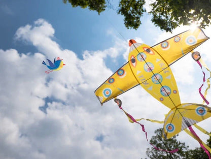 Maxi Plane Kite