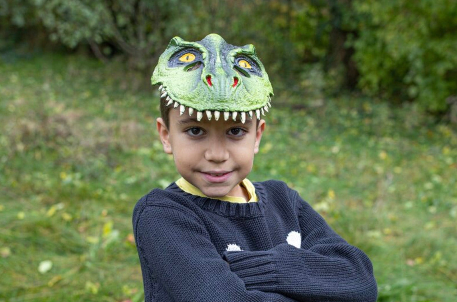 T-Rex Dino Mask – My Small World Adventures