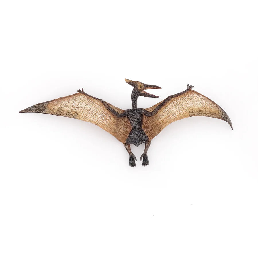 Pteranodon - Papo