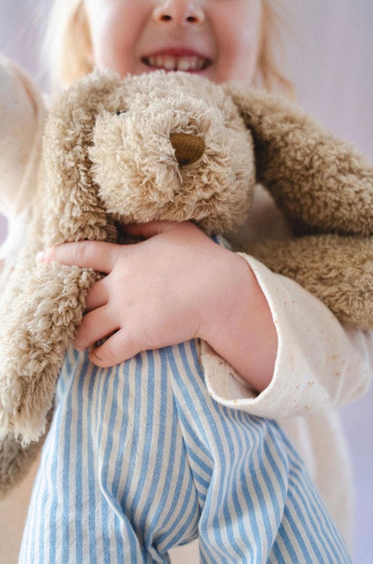 Mr Honey Bunny - Blue Stripe