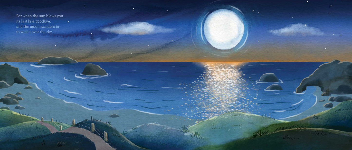 Fairy Beach Book