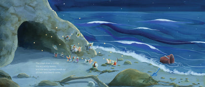Fairy Beach Book