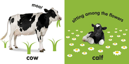 Farm Animals: Baby Touch & Feel - Board Book
