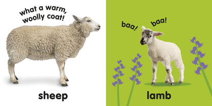 Farm Animals: Baby Touch & Feel - Board Book