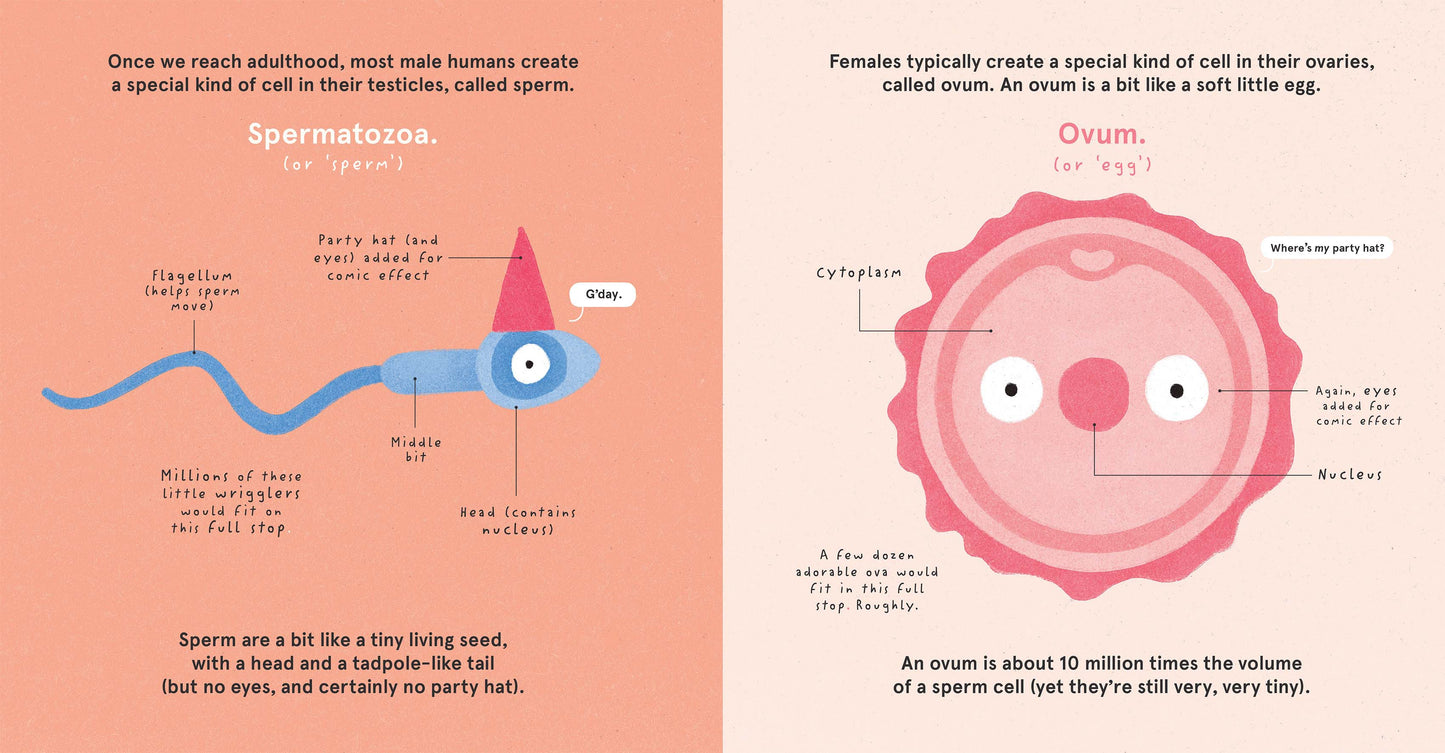 How Babies Are Made - Book