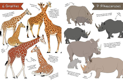 The Ultimate Animal Counting Book