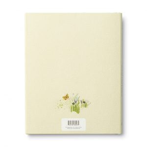 Because I Had A Teacher - Hardcover Book