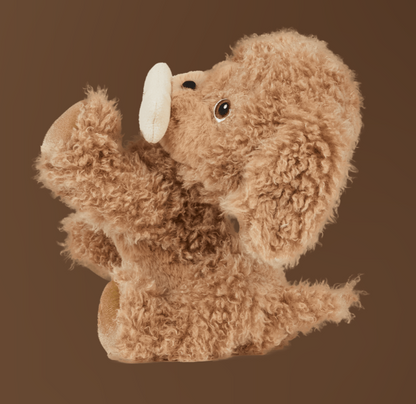 Dinkum Dogs - Goldie/Gold