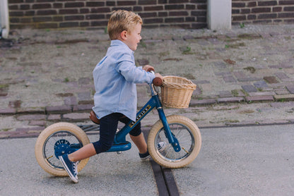 Trybike Basket