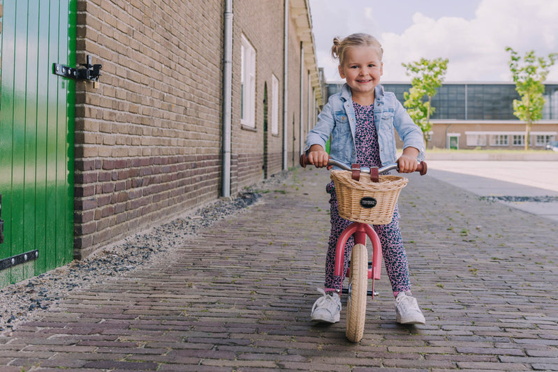 Trybike Basket