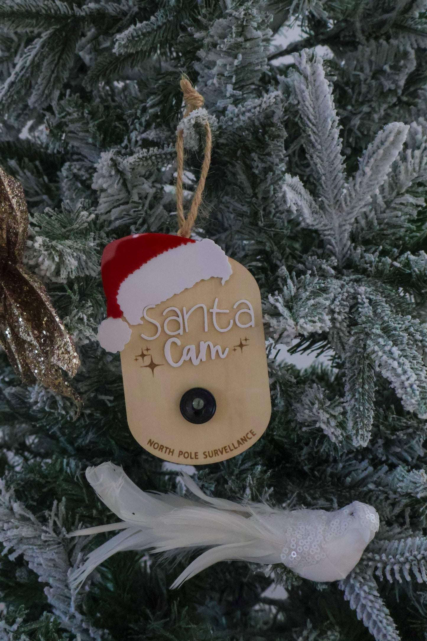 Santa Cam Plaque