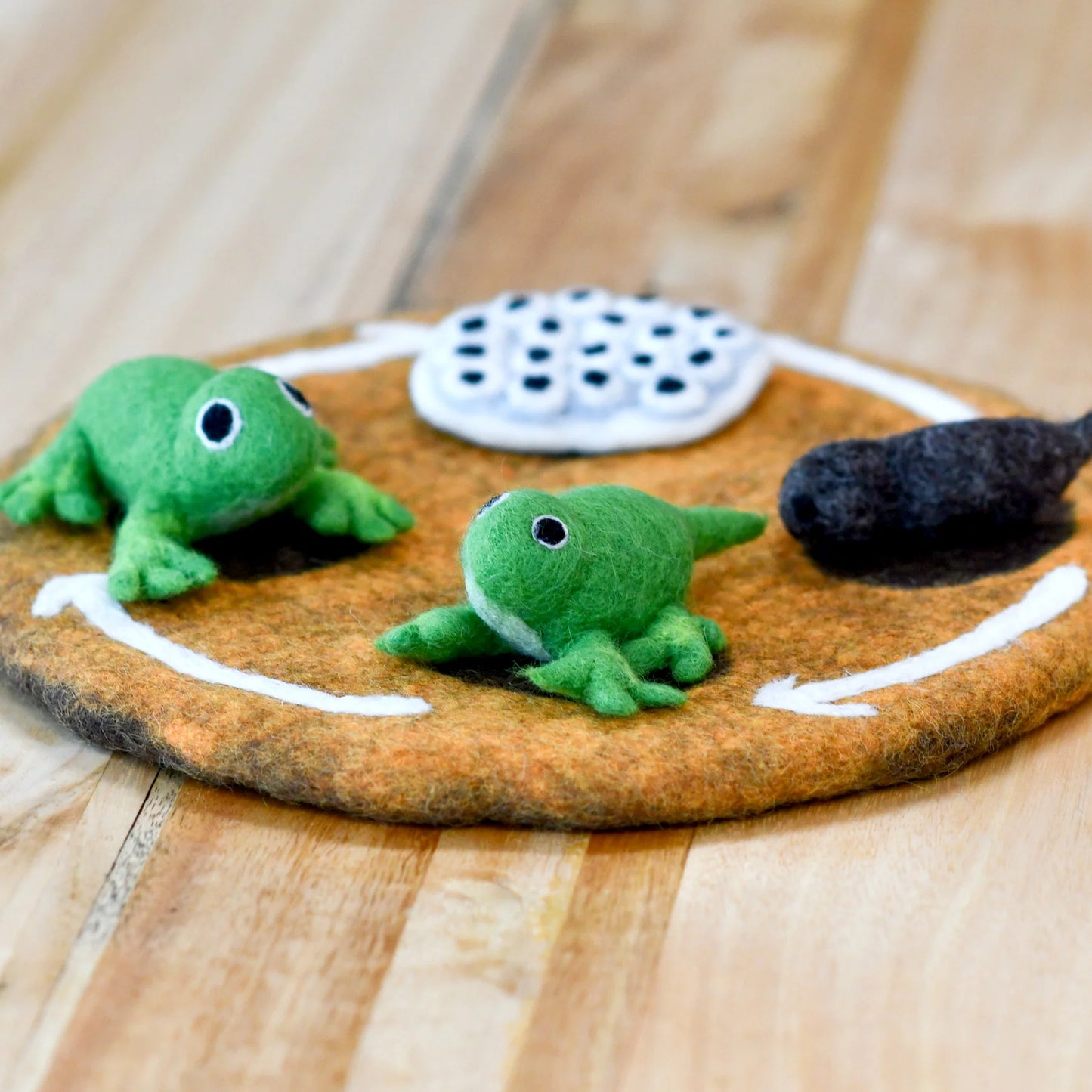 Felt Lifecycle of a Frog