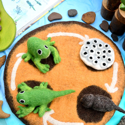 Felt Lifecycle of a Frog