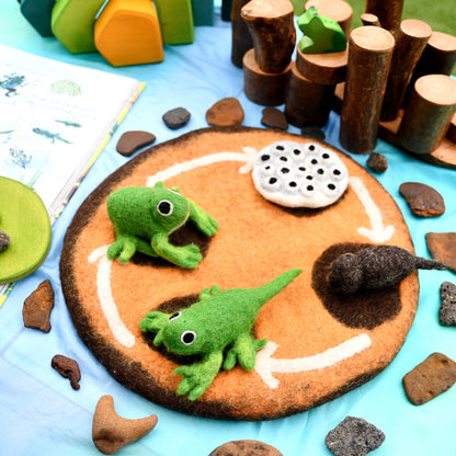 Felt Lifecycle of a Frog