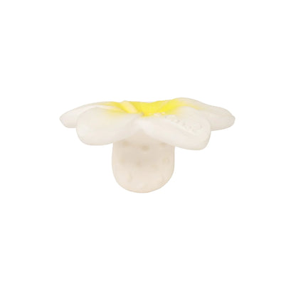 Mini Teether - Hawaii the Flower