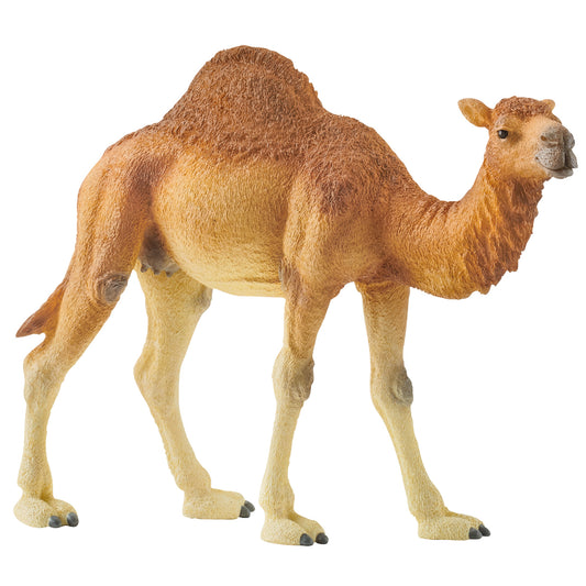 Schleich - Dromedary Camel