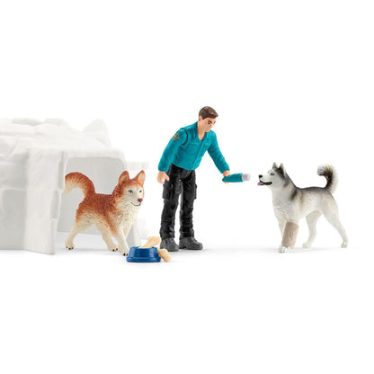 Schleich - Antarctic Expedition