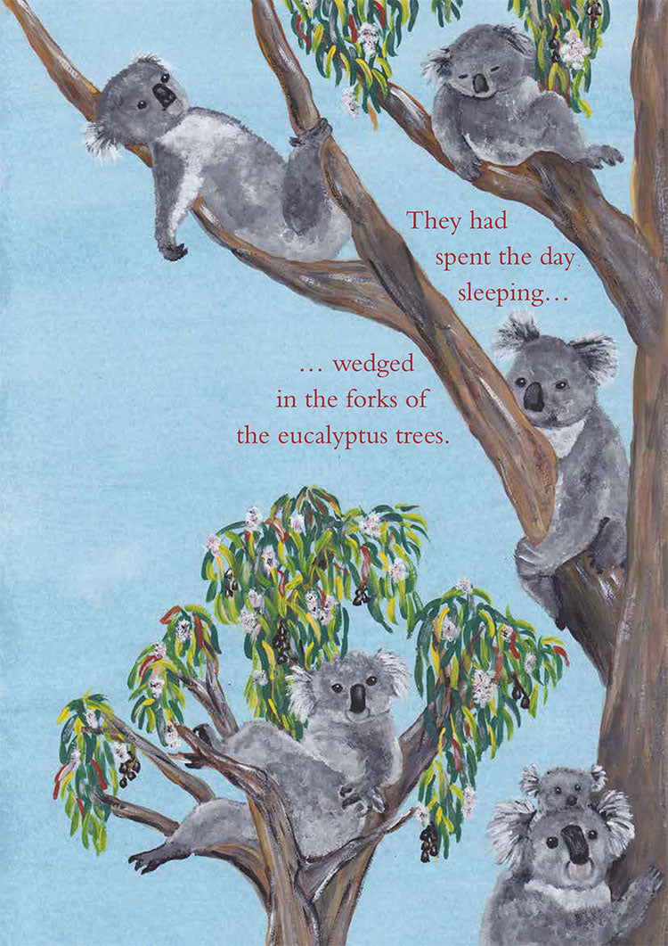 Fuzzy the Koala Book