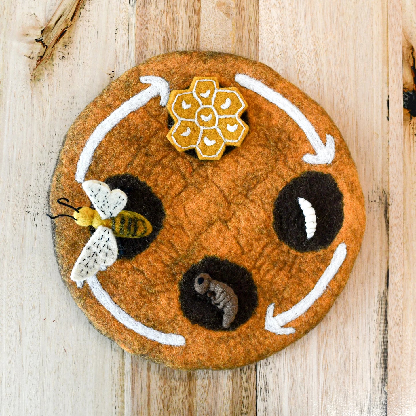 Felt Lifecycle of a Honey Bee