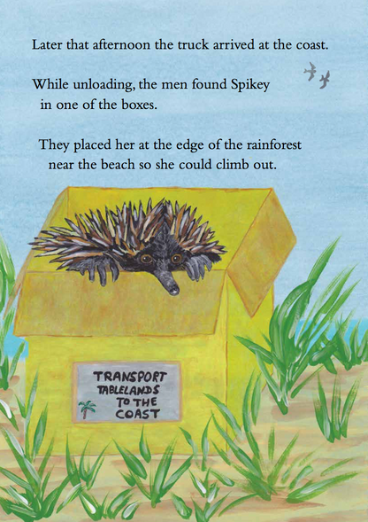 Spikey’s Day Out Book