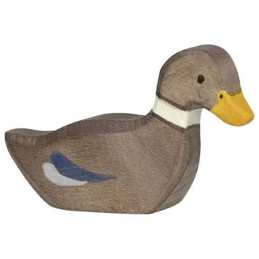 Duck, swimming - Holztiger
