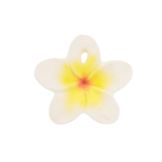 Mini Teether - Hawaii the Flower