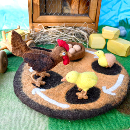 Felt Life Cycle of a Chook