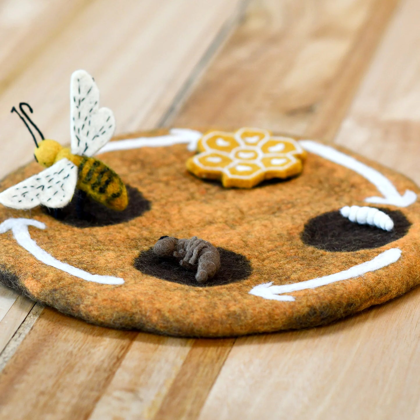 Felt Lifecycle of a Honey Bee