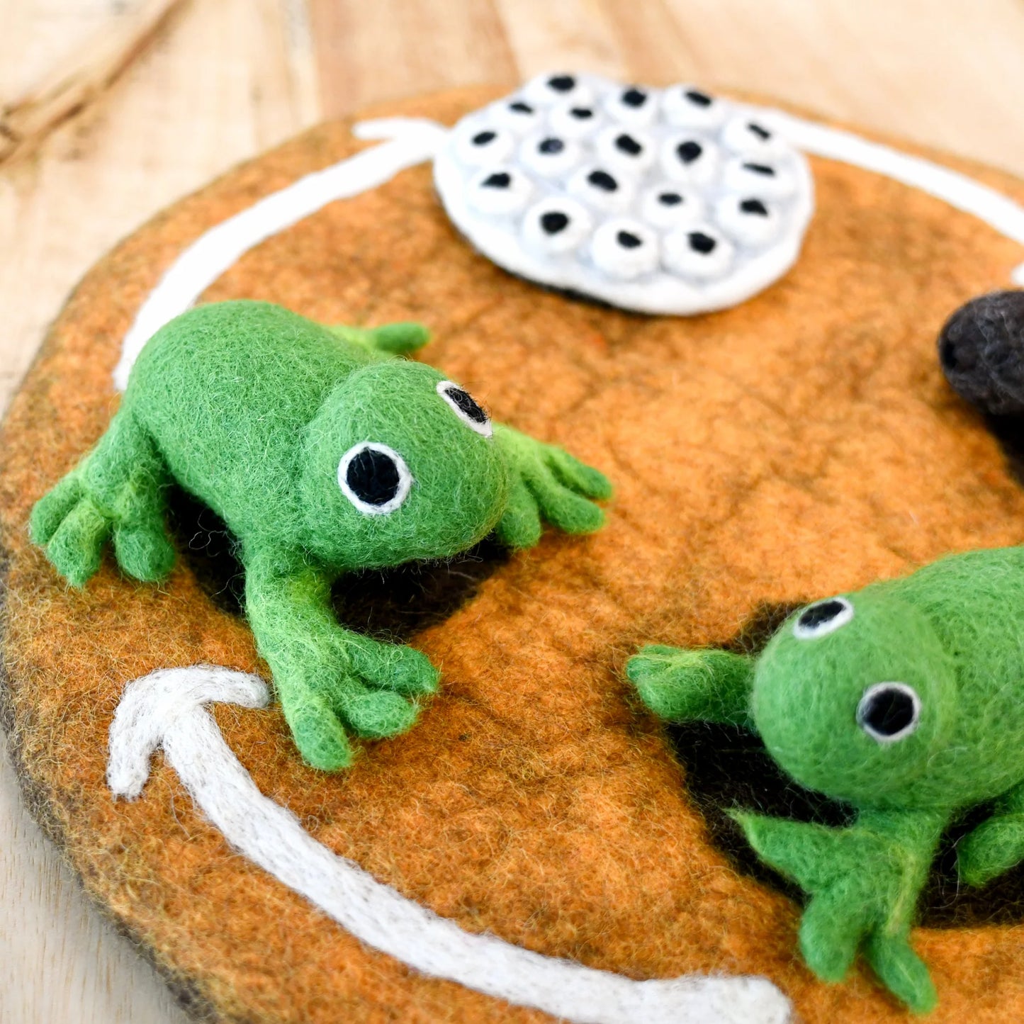 Felt Lifecycle of a Frog