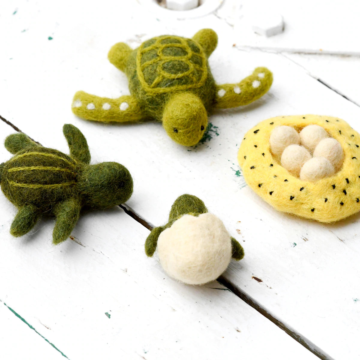 Felt Lifecycle of Green Sea Turtle