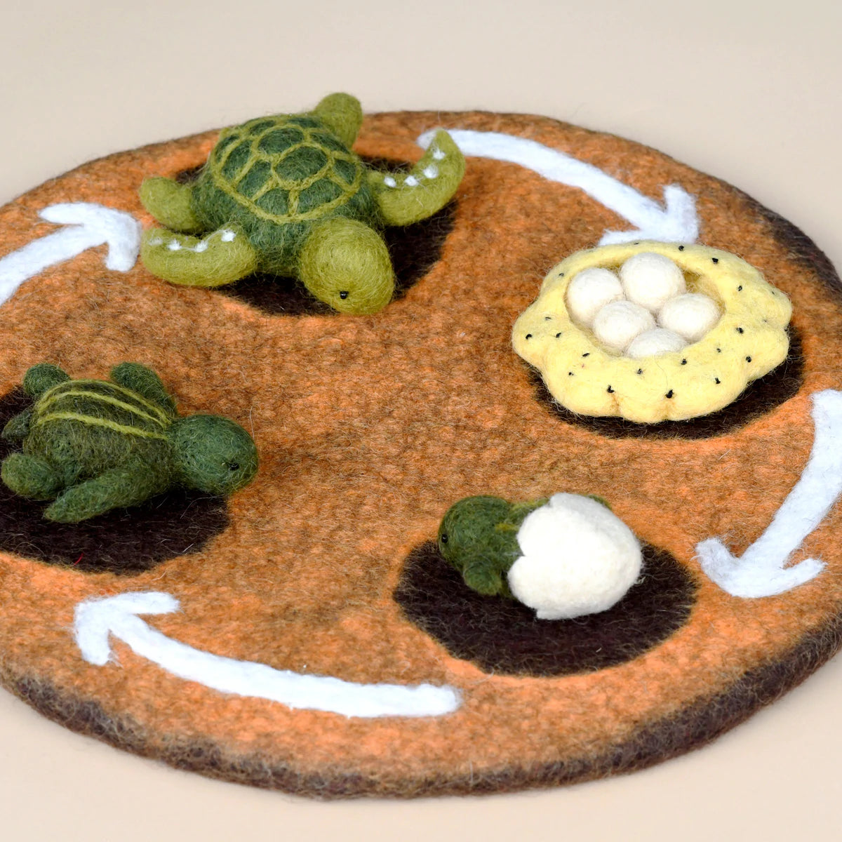 Felt Lifecycle of Green Sea Turtle