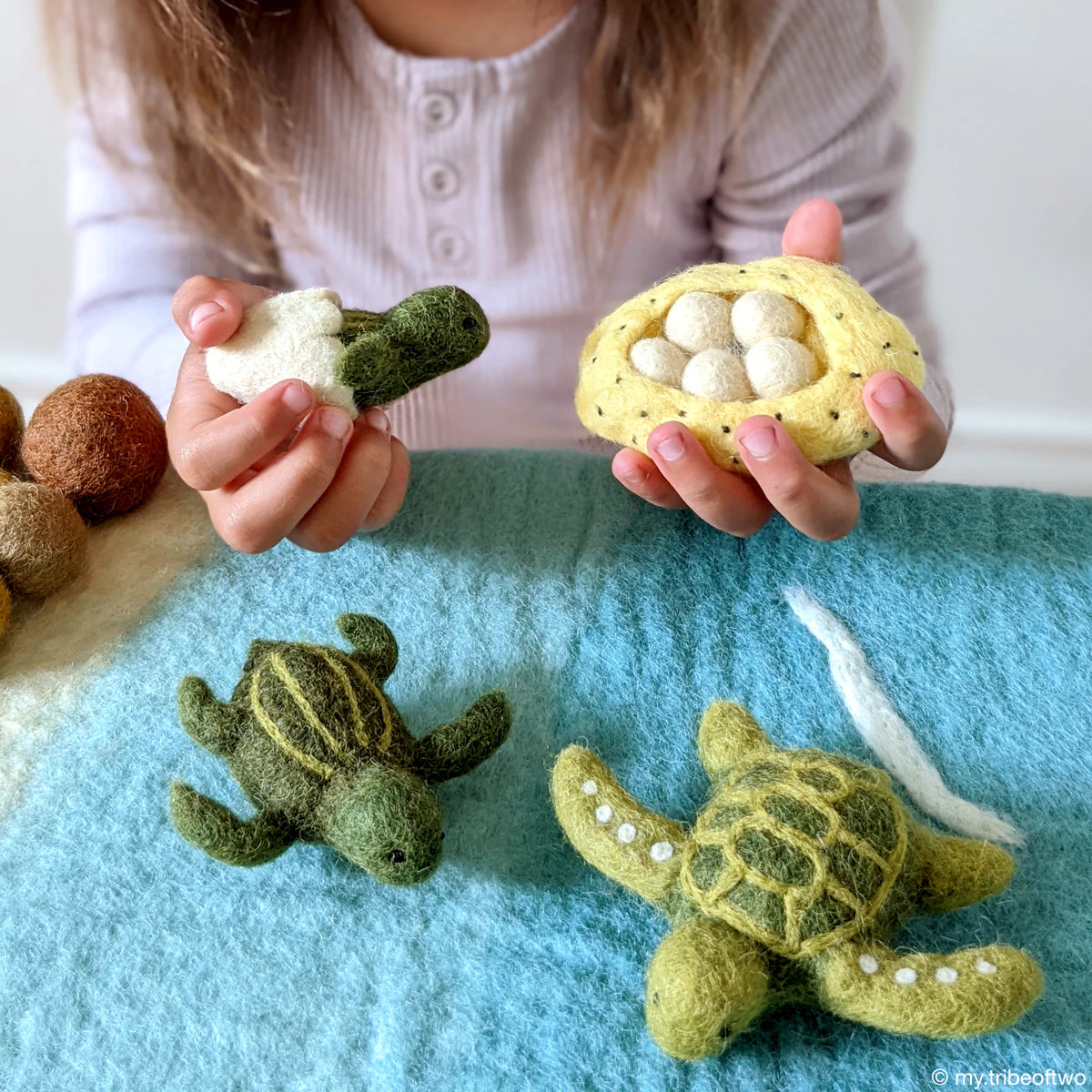 Felt Lifecycle of Green Sea Turtle