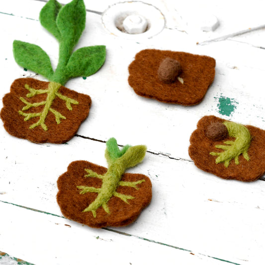 Felt Lifecycle of Bean Plant