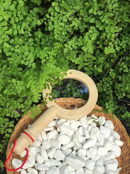 Magnifying Glass