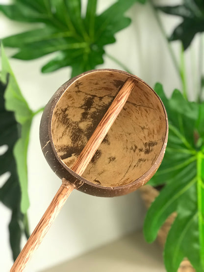 Coconut Water Scoop