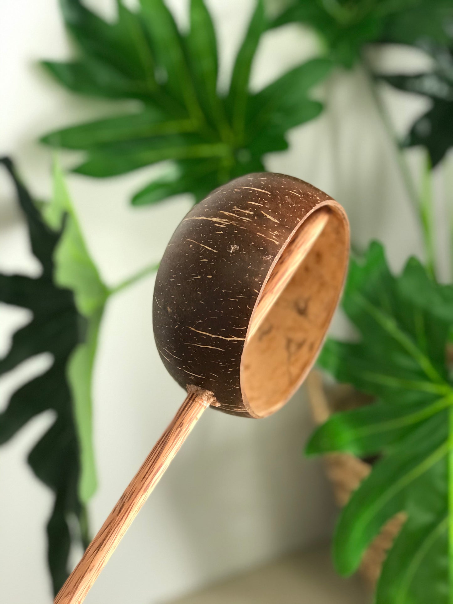 Coconut Water Scoop