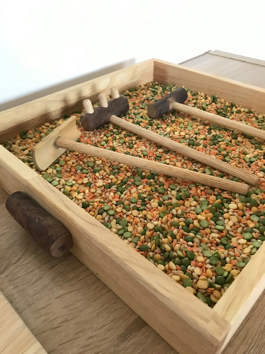 Sand Tray and Play Set