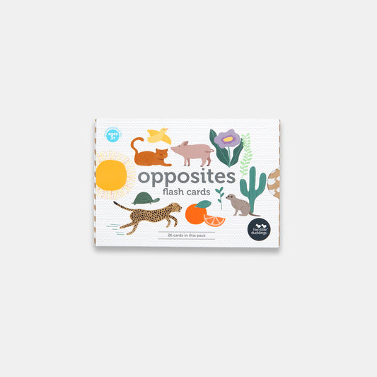 Opposite Flash Cards