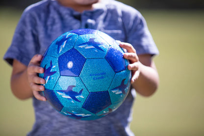 Glitter Soccer Ball (Size 3)