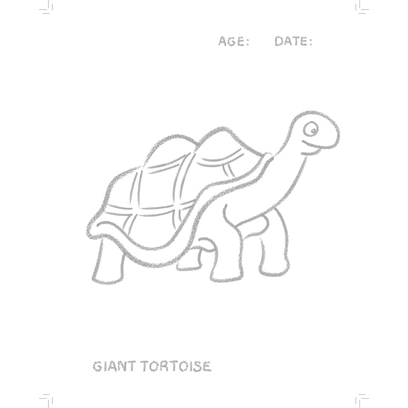 Endangered Animals Toddler's First Colouring Book